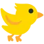Bird Bird