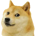 dogerotate