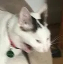 lolwutmao lolwutmao