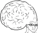 brain