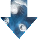 downdoge