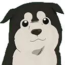 doggie