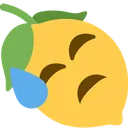 sweatlemon sweatlemon