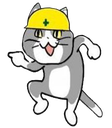 Cat1