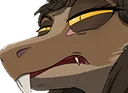 shadekass