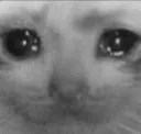 sadlyf