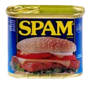 spam spam