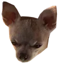 angery