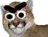 :cassifurieux: cassifurieux