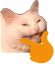 echthink echthink