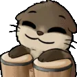 ccolorBongo