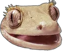 gek