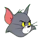 kavo