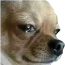 saddo