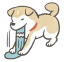 sock