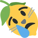 cryingcatfacelemon