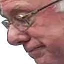 sadbernie Discord Emoji