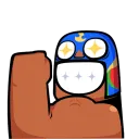 primoflex