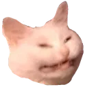 bakacat