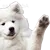 waveBoye