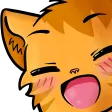 catyay