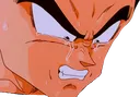 vegetacry