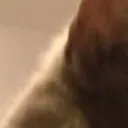 stare1