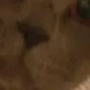 stare8
