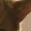 stare6