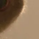 stare9