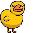 duck