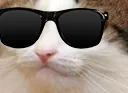 mewCool