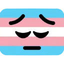pensivetransflag