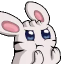bunFite