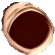 OMEGANOM