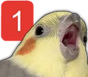 birbping