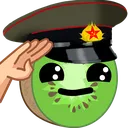 KKiwi