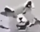 AA