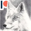 lilfoxxo