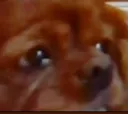 flossycry