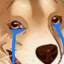 sadkiki
