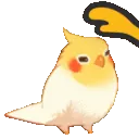 birdpatsfast