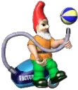 _gnome
