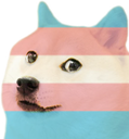 transdoge