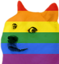 rainbowdoge
