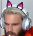 pdp