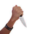Naifu