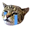 crydoodles crydoodles