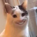 CatAwkwardSmile