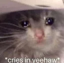 criesinyeehaw